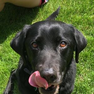 Meet your Posher, Aubrey